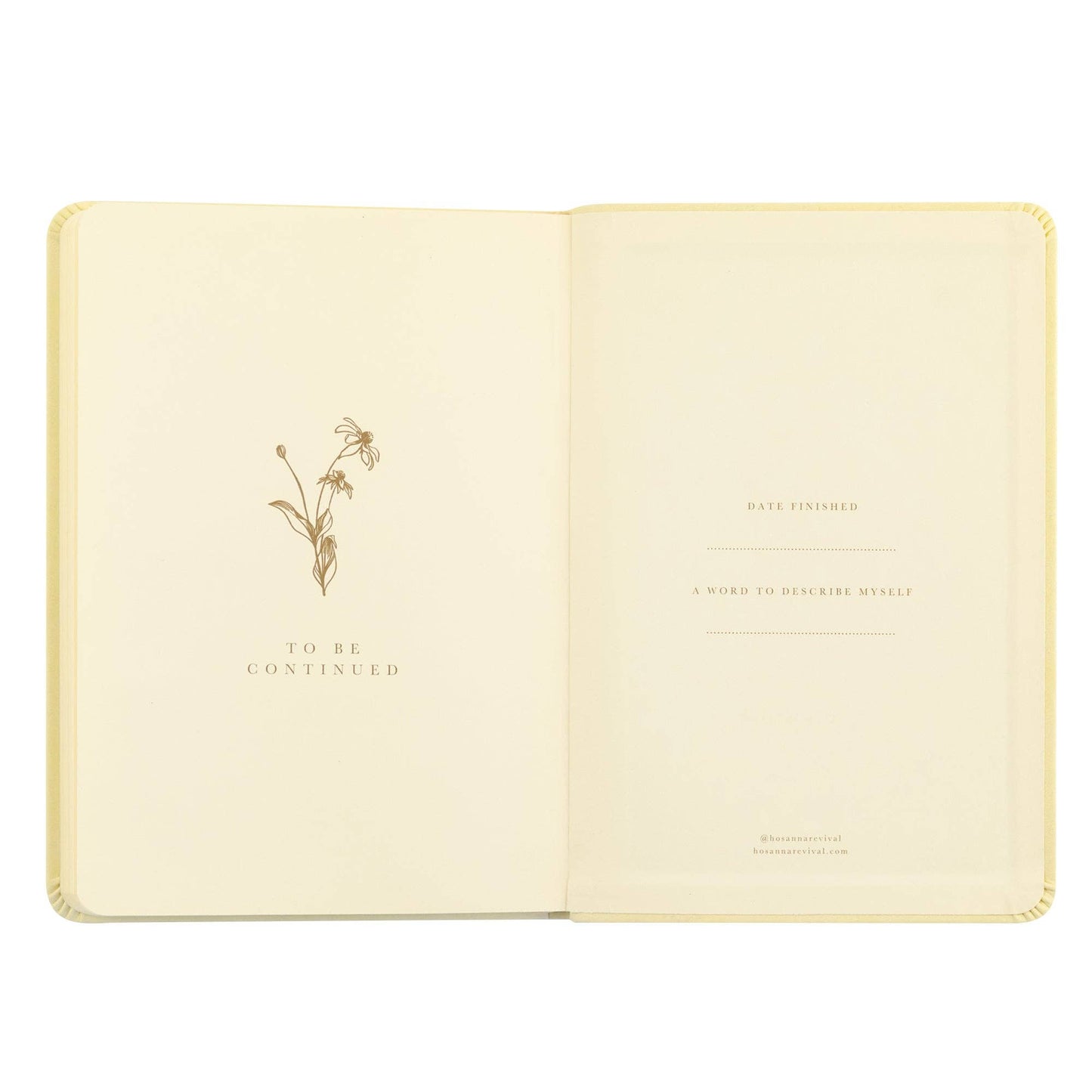 Belfast Theme Notebook