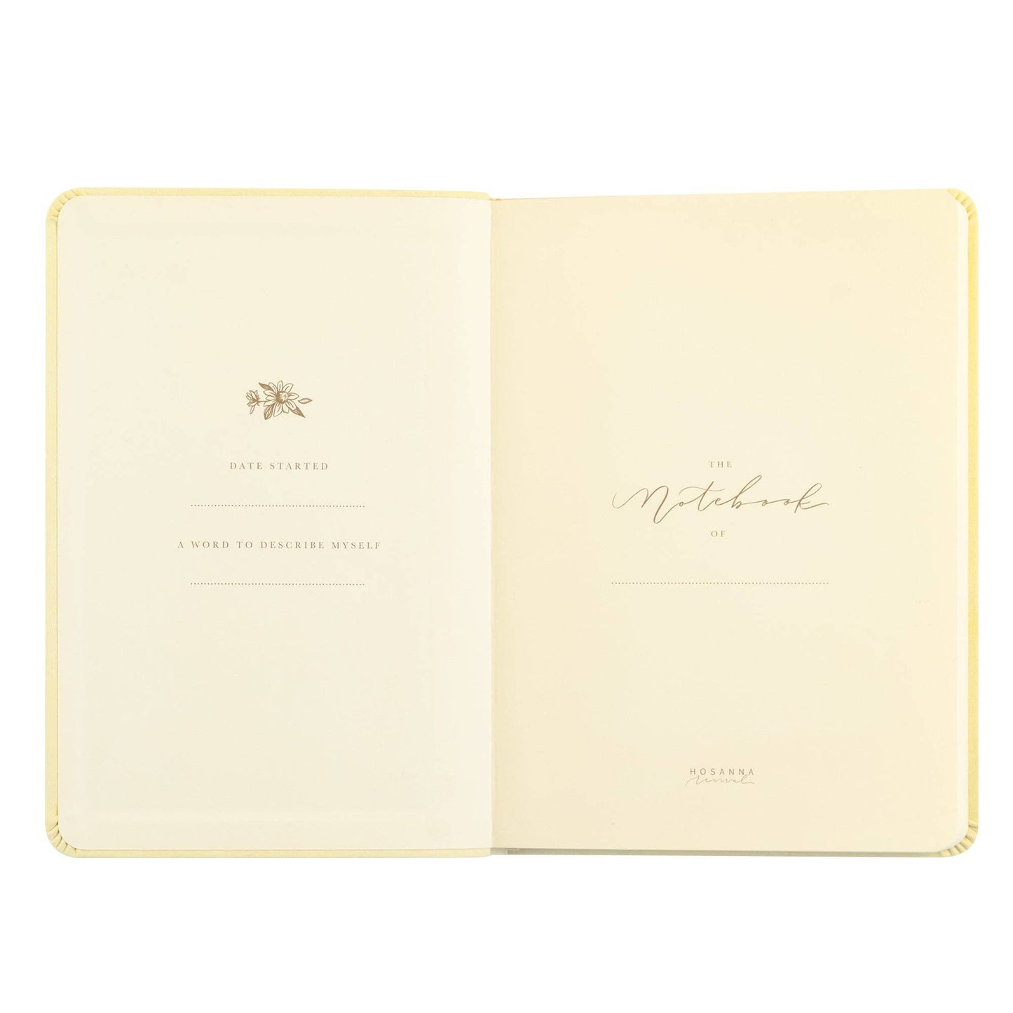 Belfast Theme Notebook
