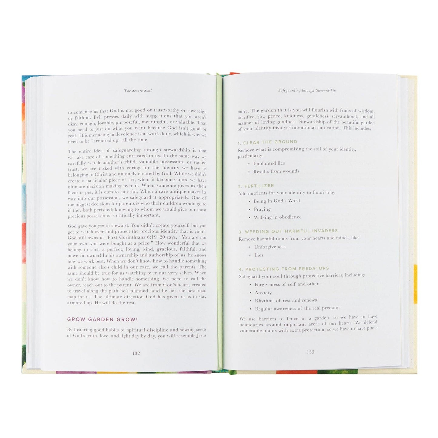 The Secure Soul Book