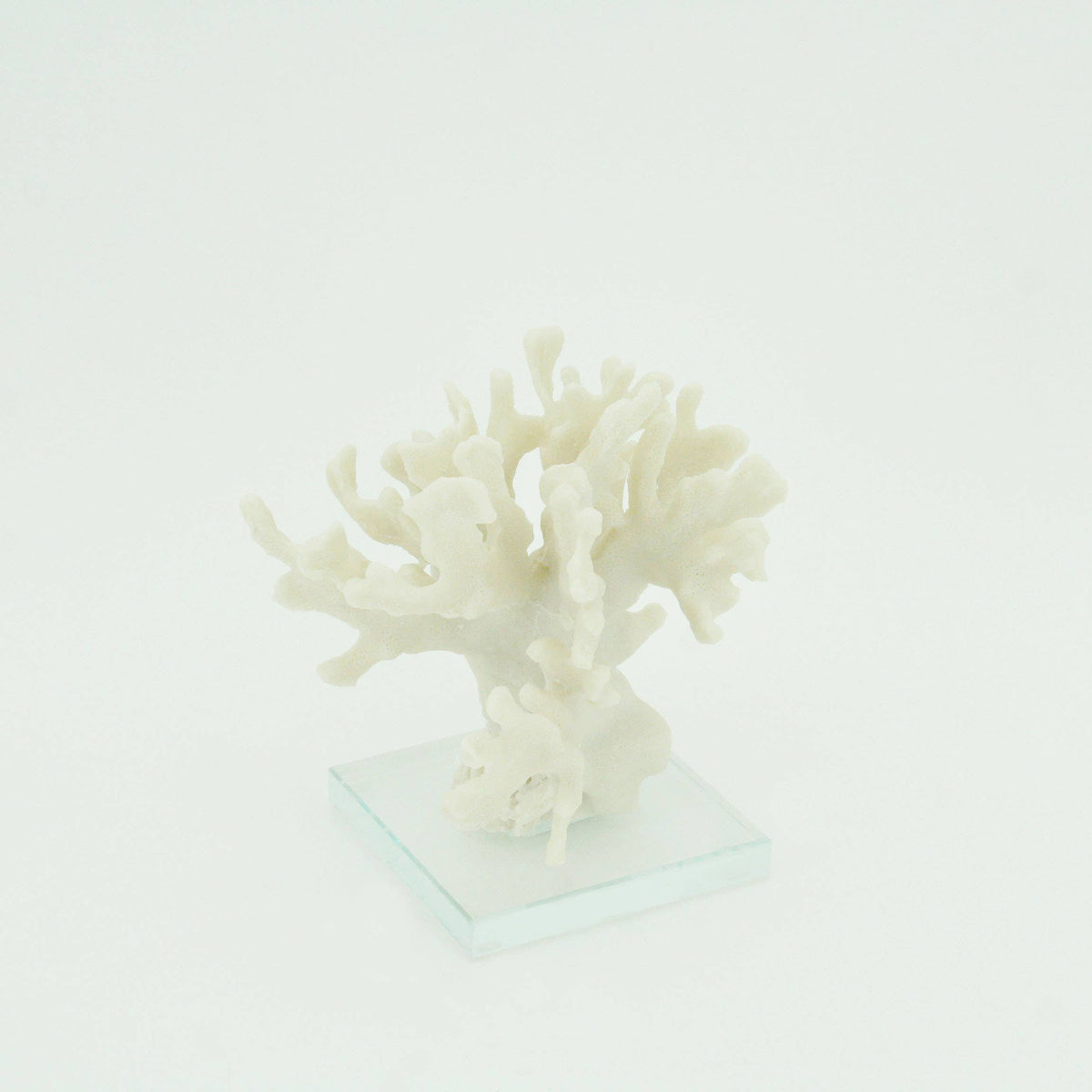 Ridge Coral