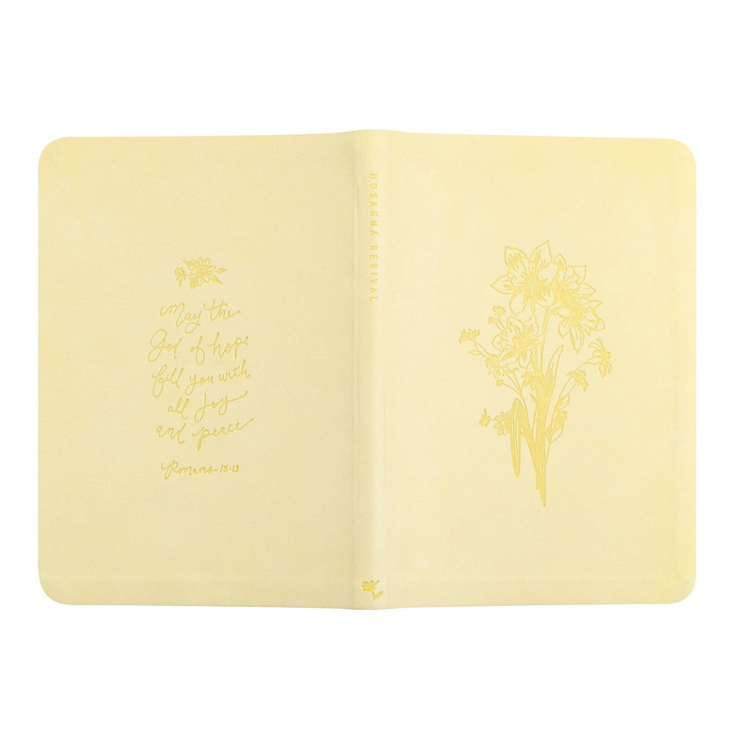 Belfast Theme Notebook