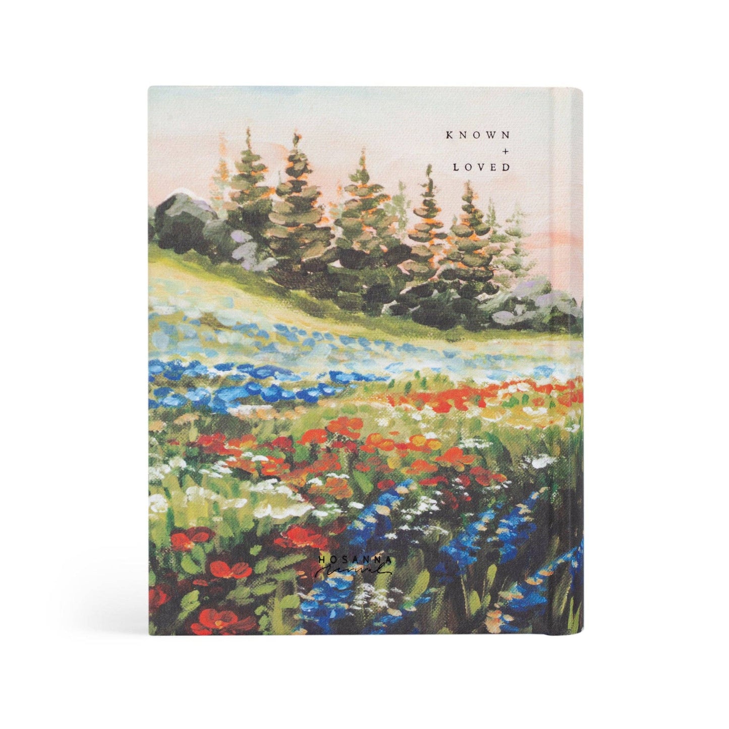 Coram Notetaking Bible