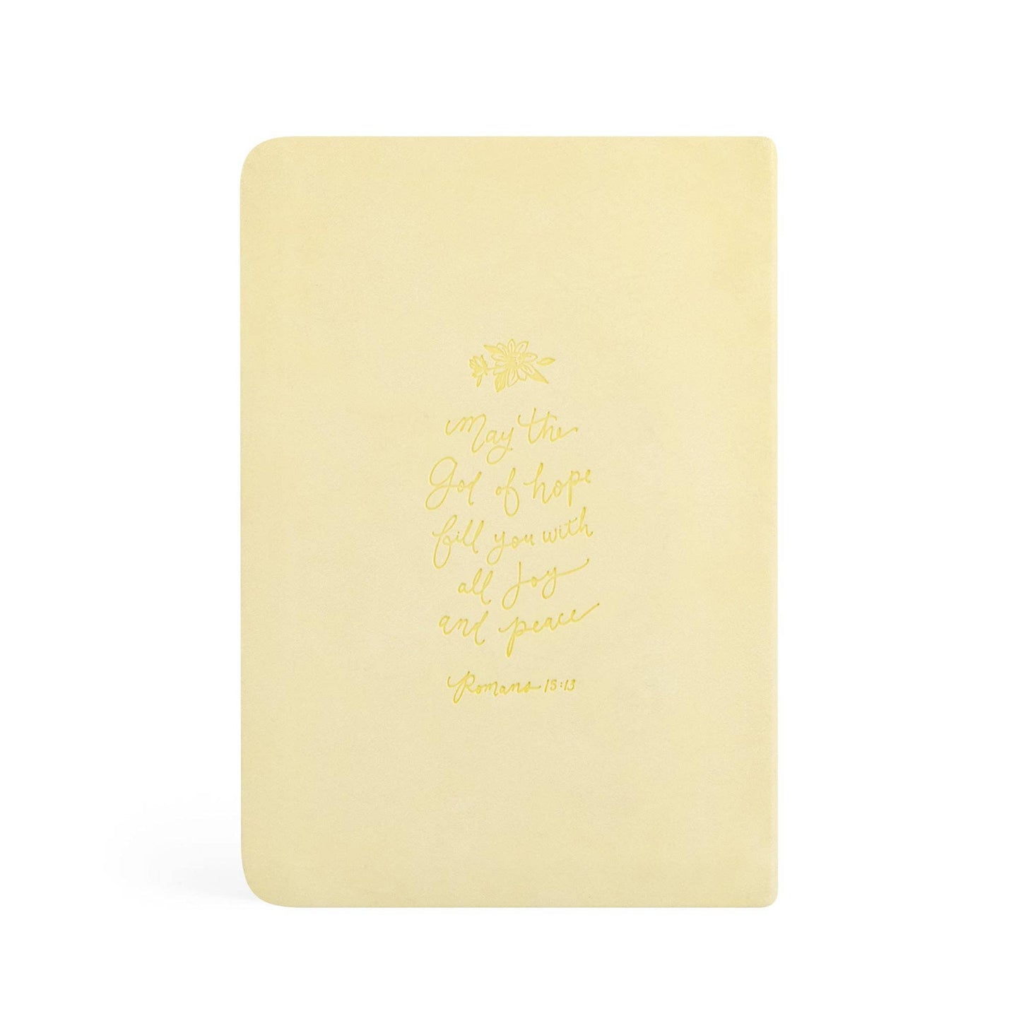 Belfast Theme Notebook