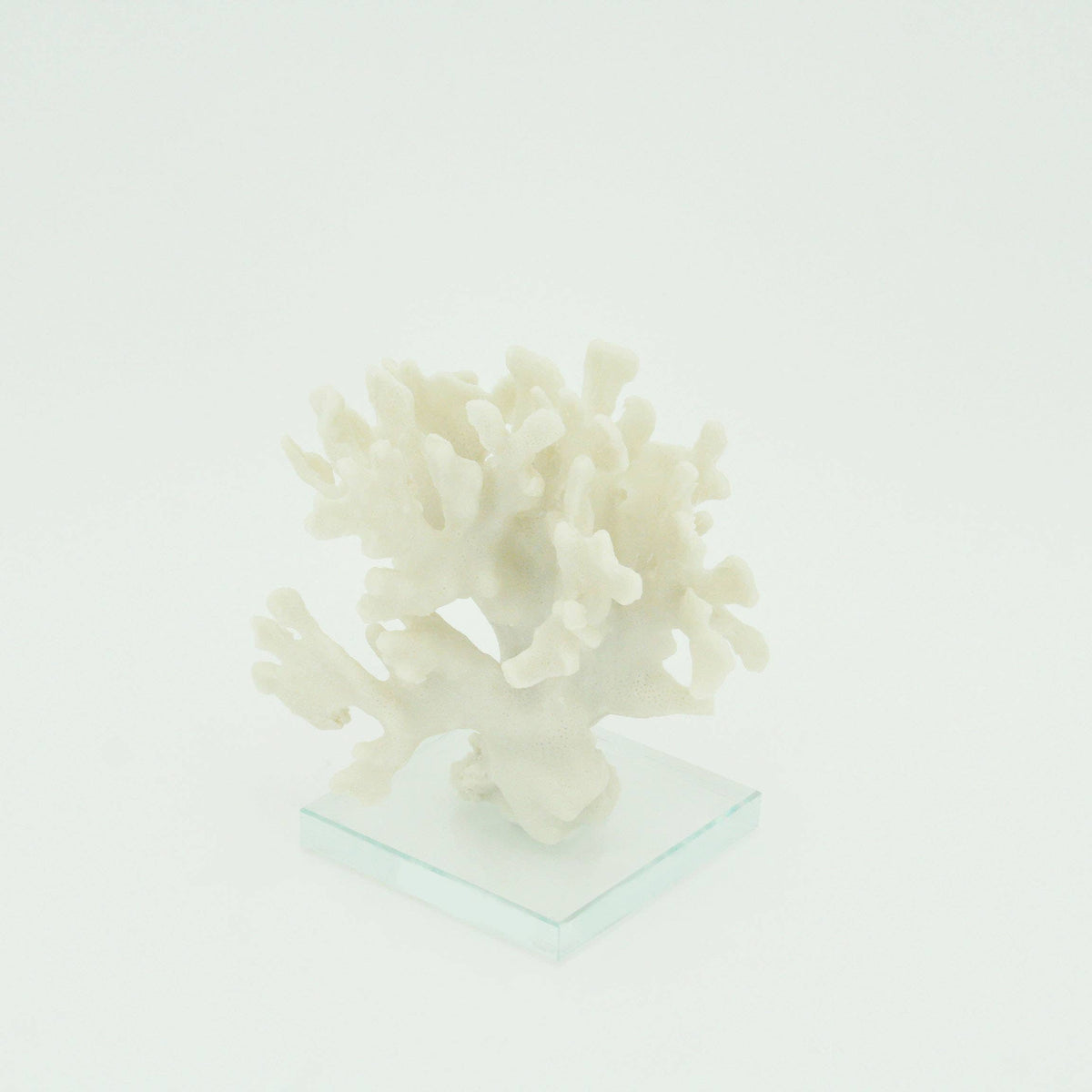 Ridge Coral