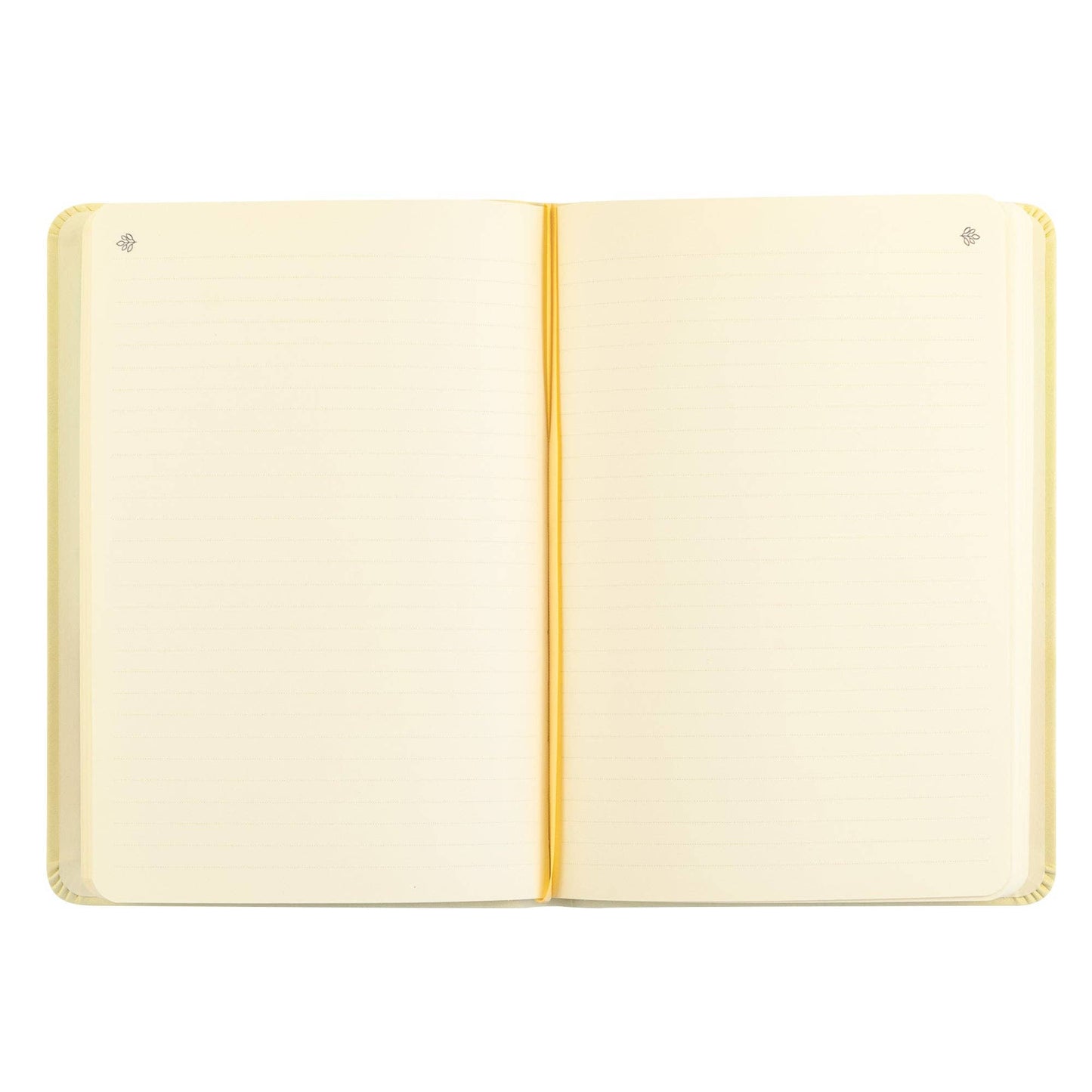 Belfast Theme Notebook