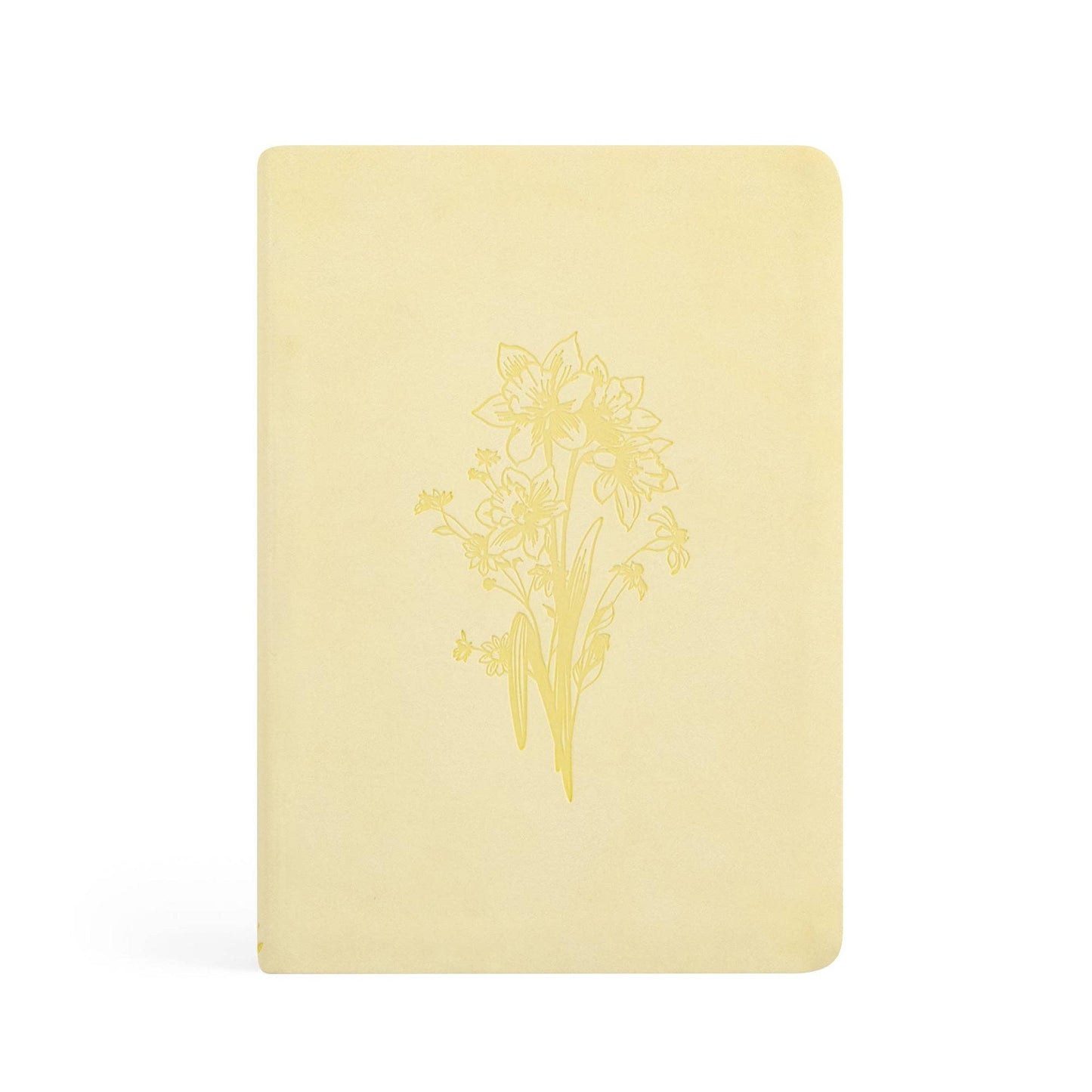 Belfast Theme Notebook