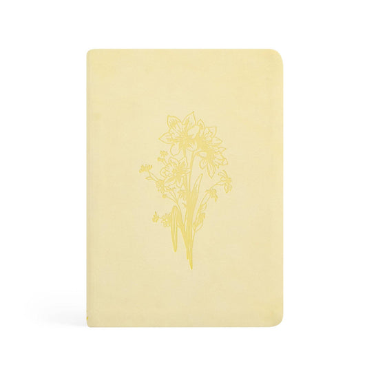 Belfast Theme Notebook