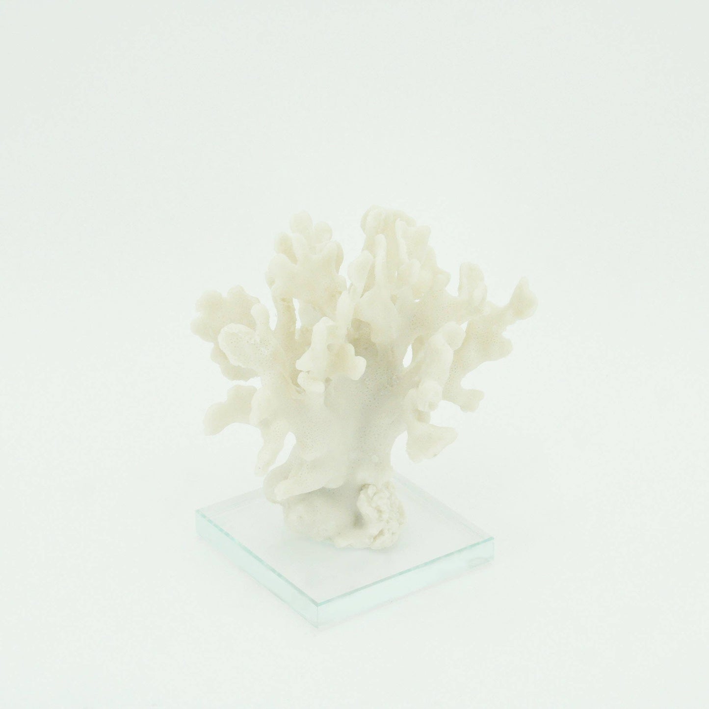 Ridge Coral