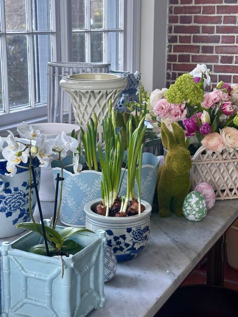 Corn Flower Blue Bamboo Box Planter: Small