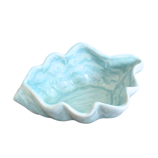 Aqua Shell