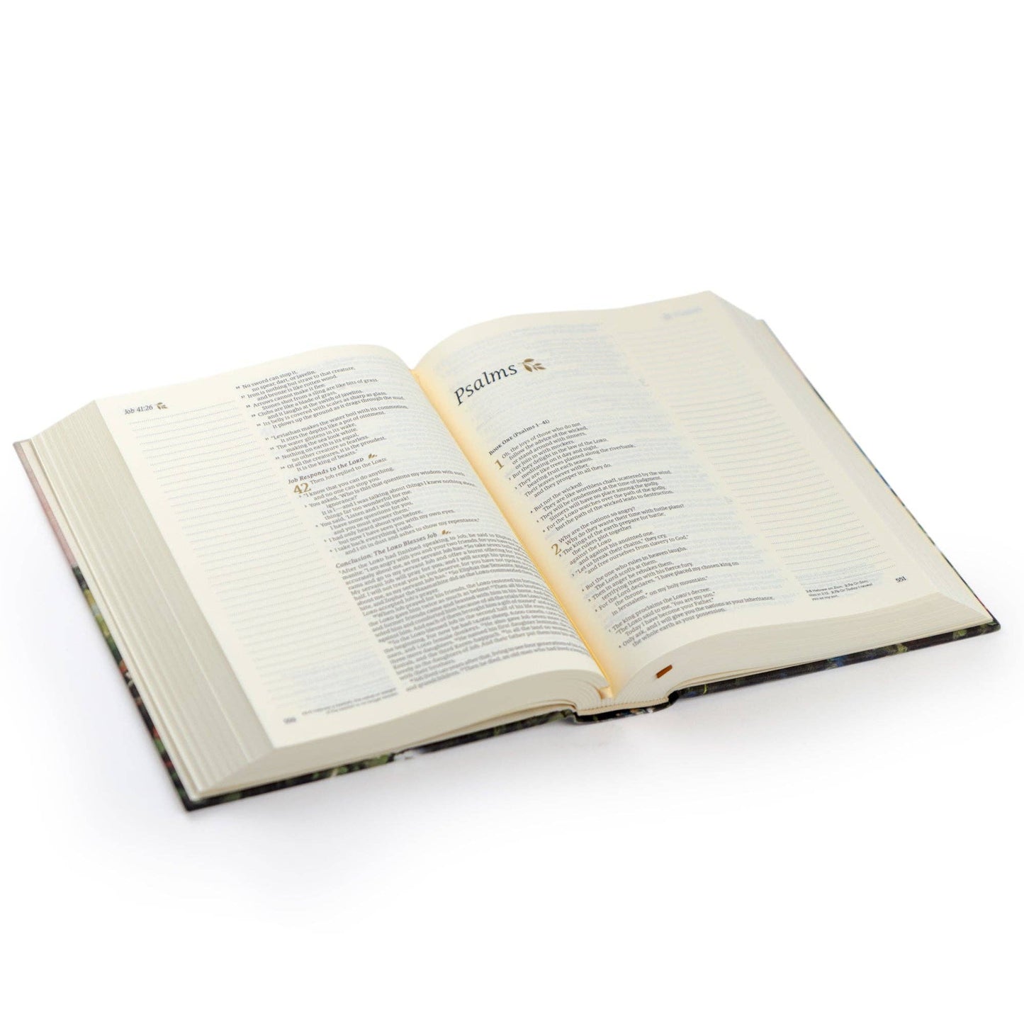 Coram Notetaking Bible