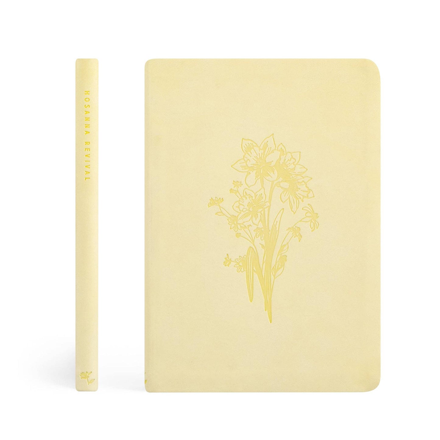 Belfast Theme Notebook