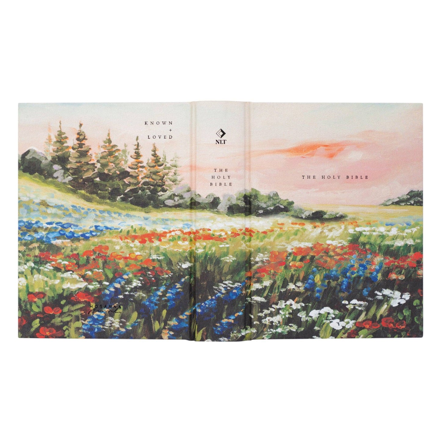 Coram Notetaking Bible