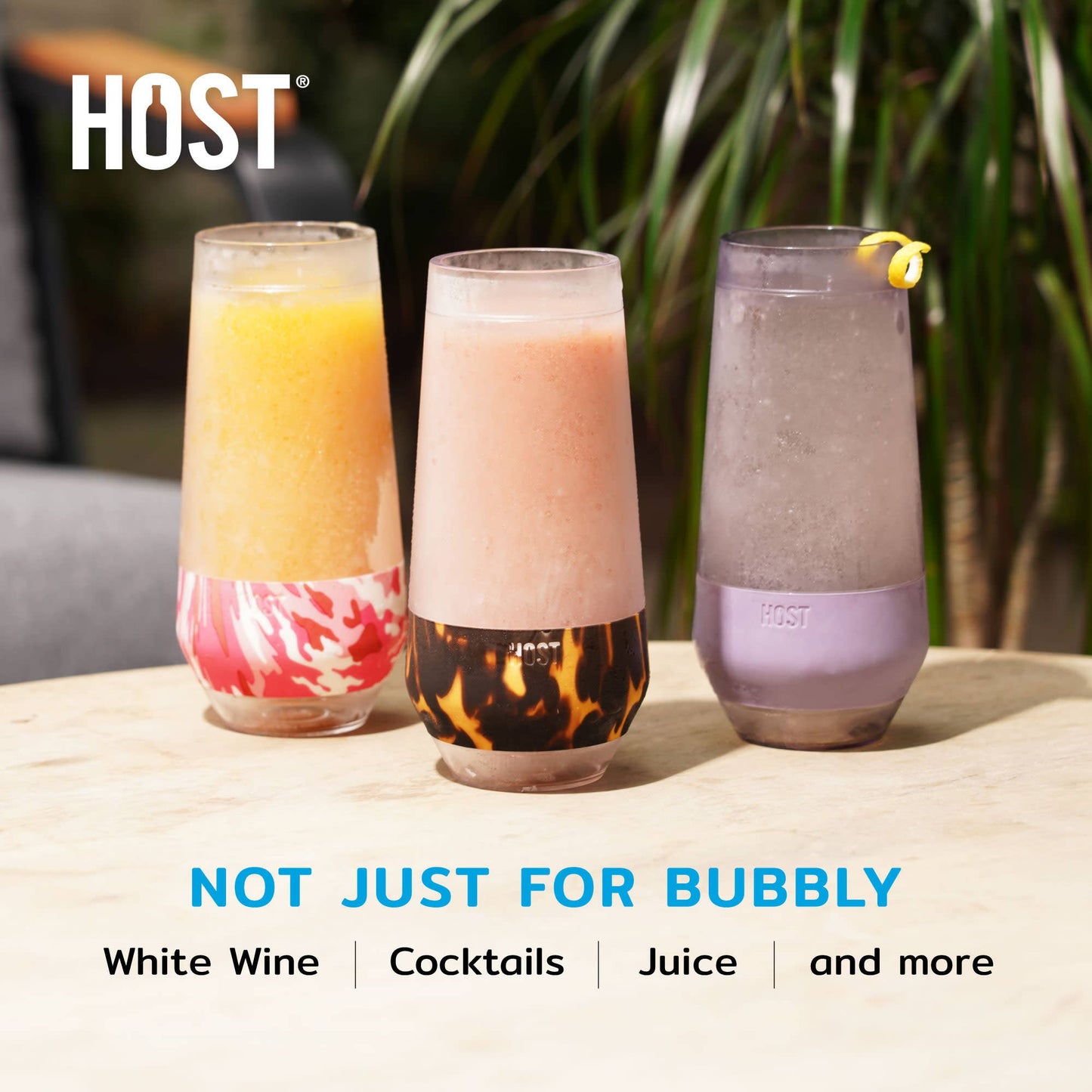 HOST Tortoise Champagne Flute