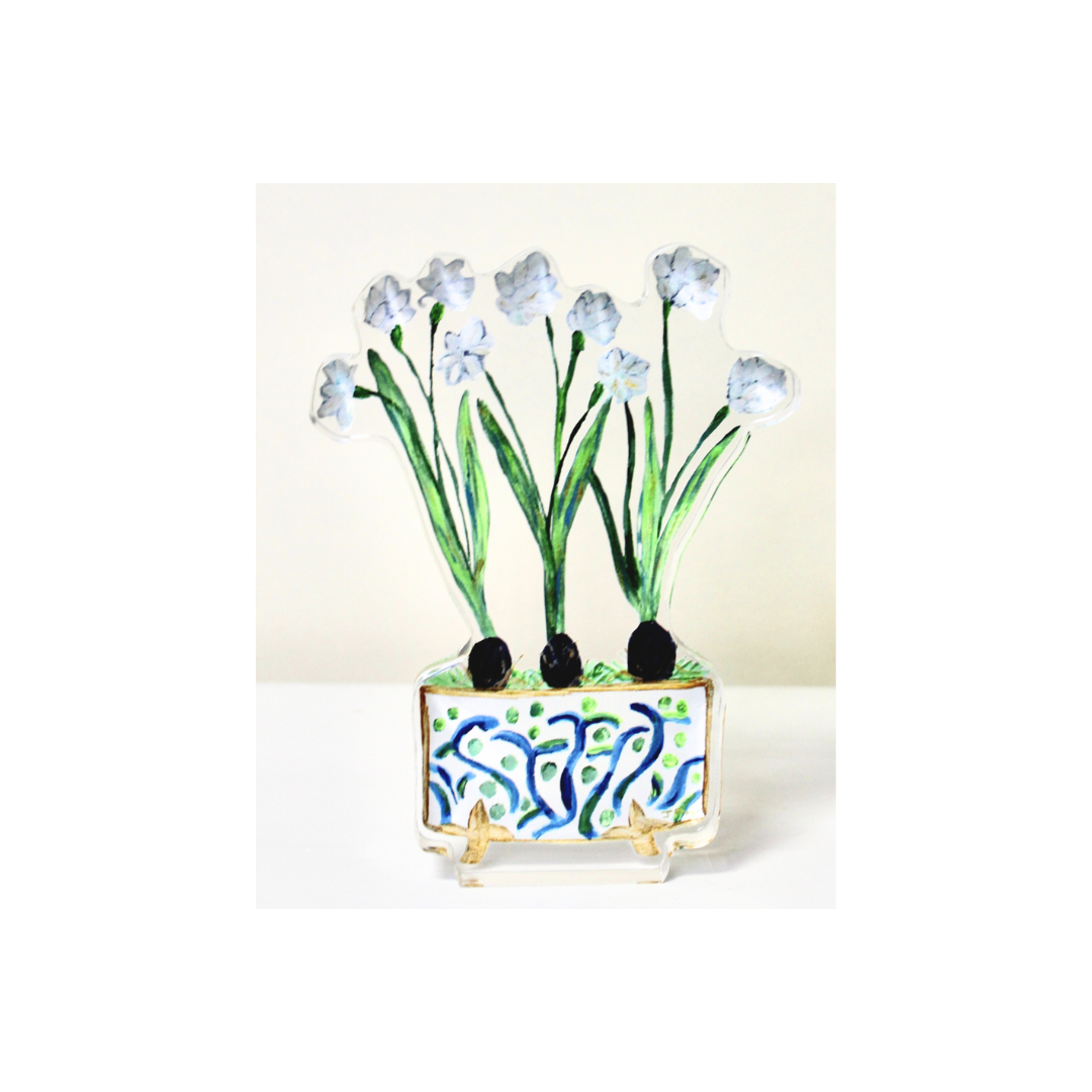 Paperwhites Acrylic Art Block
