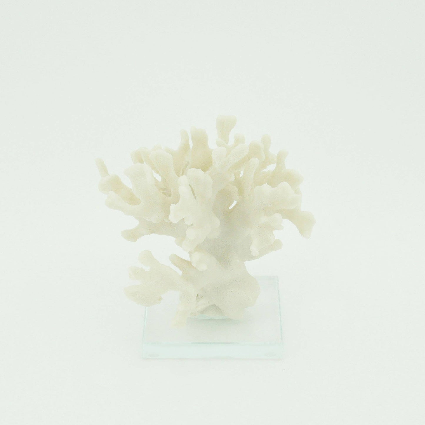 Ridge Coral