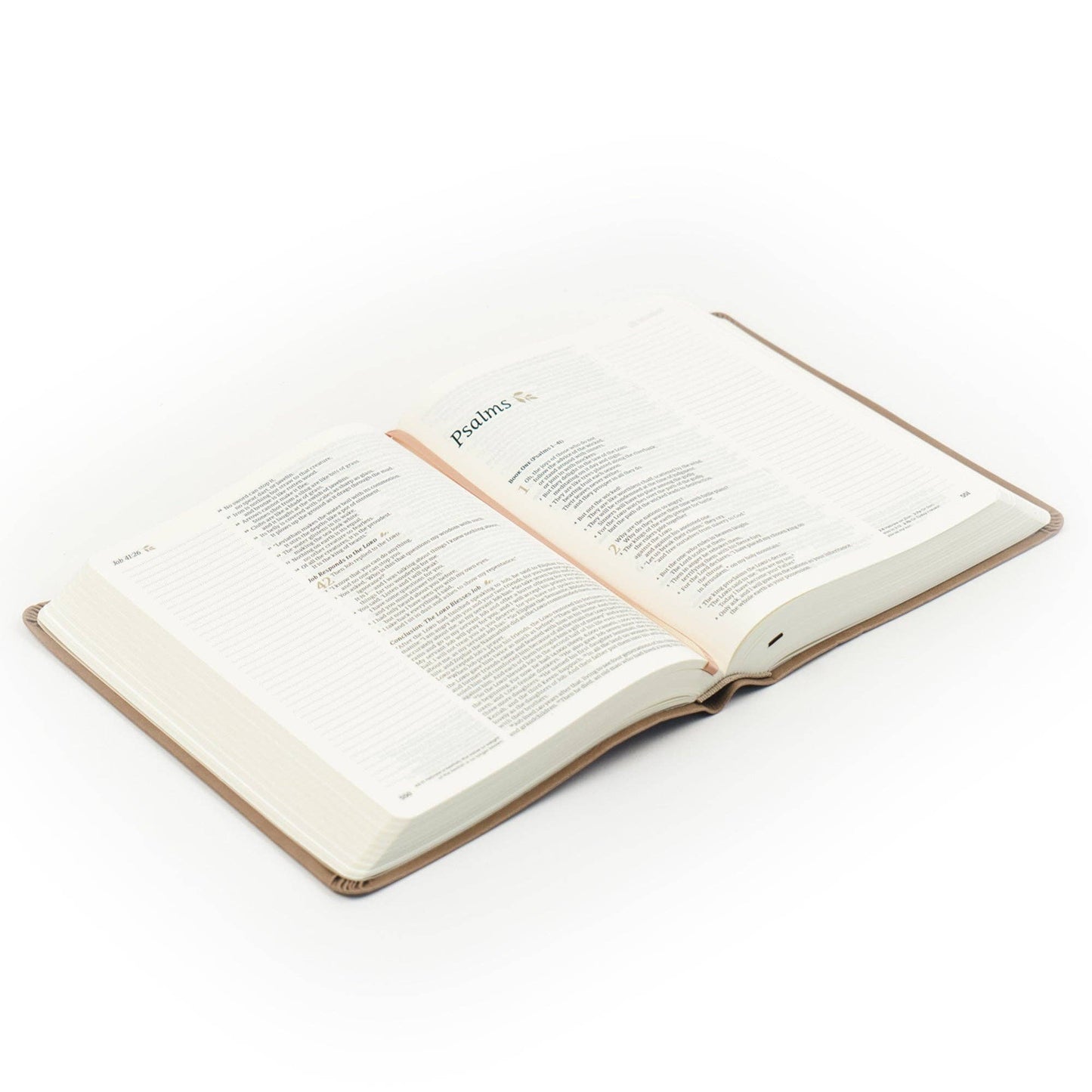 Galilee Notetaking Bible