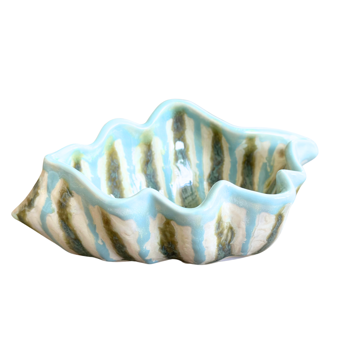 Teal Shell