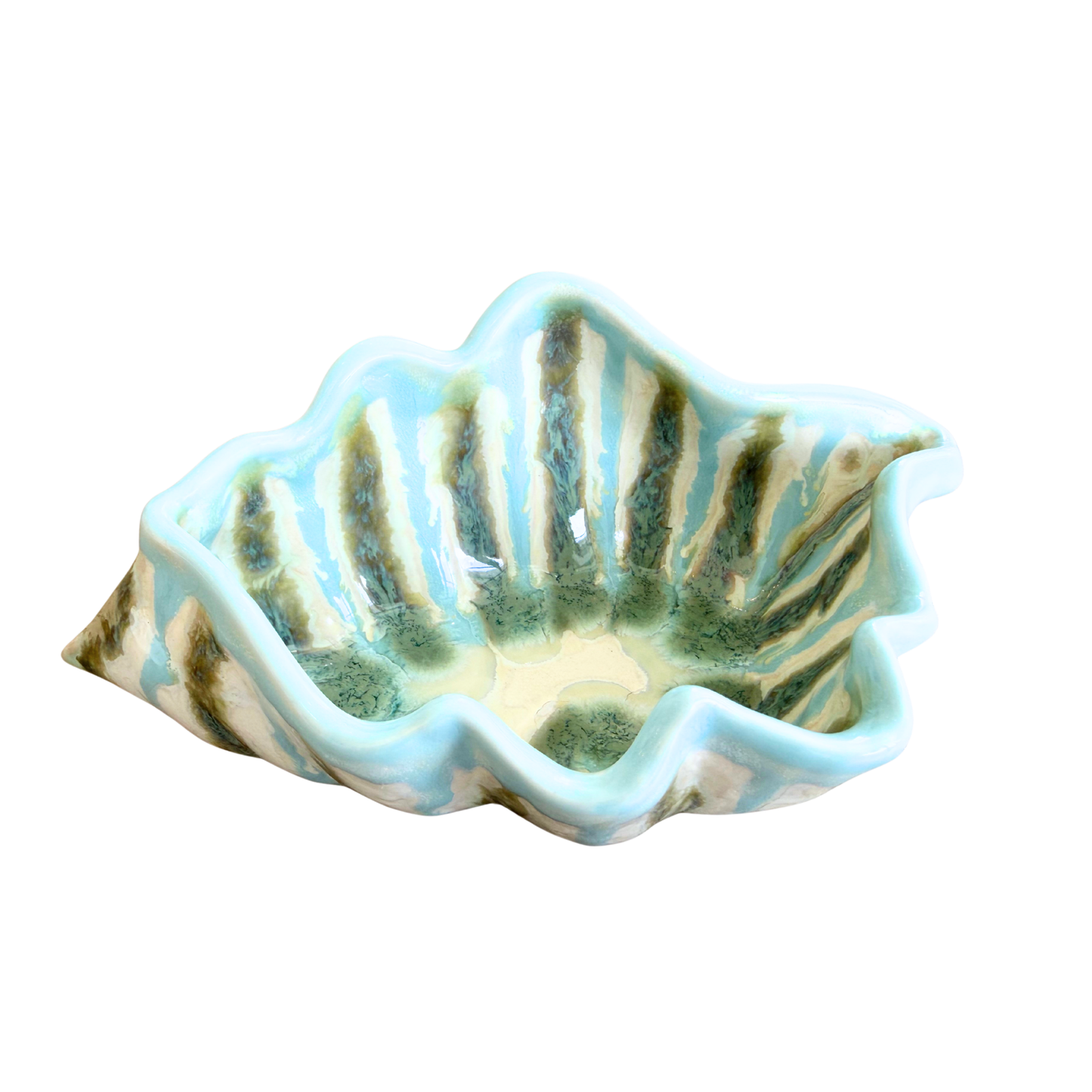 Teal Shell